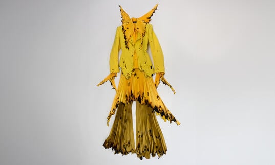 Robert Wun's yellow rose, with exaggerated proportions and singed details